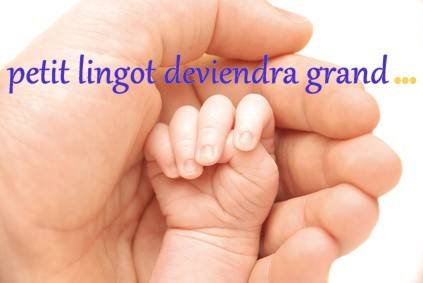 Commandez votre lingotin en or fin pour les fêtes de fin d'année 2025 au Comptoir Universel de l'Or Paris 8